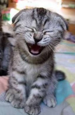 ridere.jpg