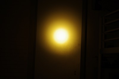 _IGP9918.jpg