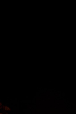 5 lumen.jpg