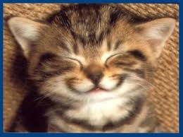 gattocheride.jpg