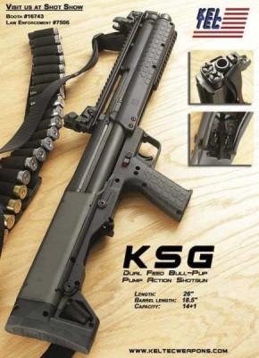 KSG_2.jpeg