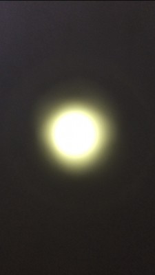 image.jpg