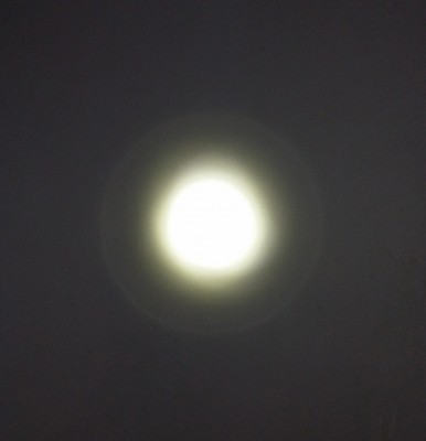 20150225_152413.jpg