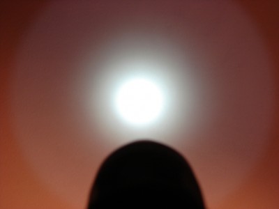 DSC05176.JPG