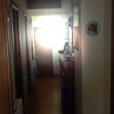 image.jpeg