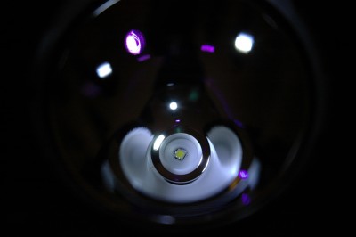 DSC_1376b.jpg