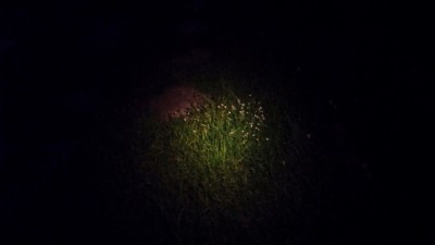 IMG_20250402_202010083 3.JPG