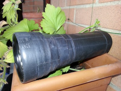 20120912_123959-2.jpg