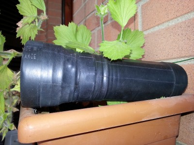 20120912_123825-1.jpg