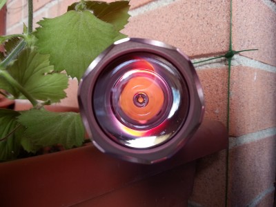 20120914_104805-5.jpg