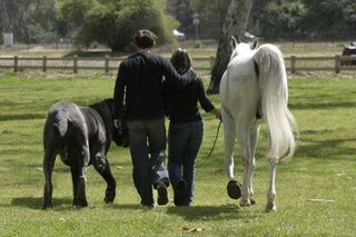 Mastino_Napoletano_1.jpg