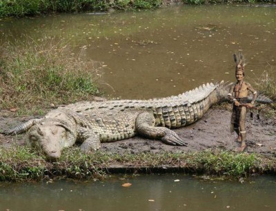 coccodrillo_gigante.jpg
