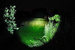 DSC_8530a.jpg