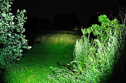 DSC_8531a.jpg