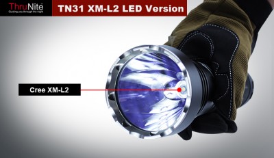 TN31-4.jpg