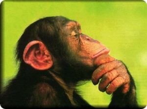 seduzione-300x223.jpg