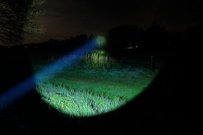 DSC_2013_tn31.jpg