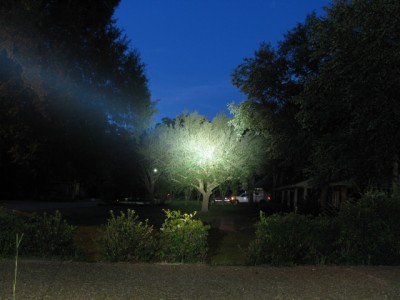 IMG_2276_zps72613b58.jpg