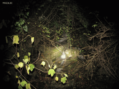 Test Fiume Maxi.gif