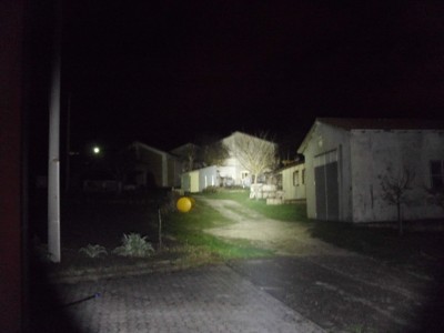 DSCI0530.jpg