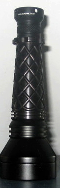 aleph Head3pineapple.jpg