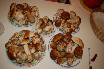 Copia di DSC_7018.JPG