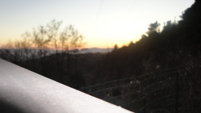 DSC00388.JPG
