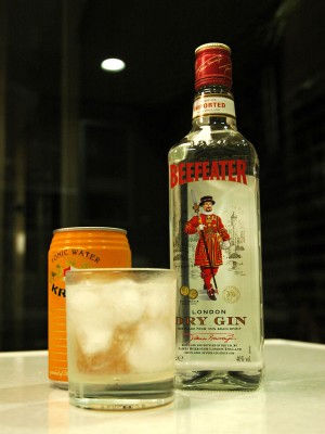 Gin_and_Tonic.jpg