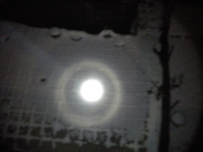 DSCN0703.JPG