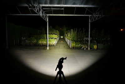 untitled (2).png