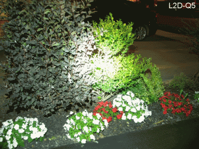 TK20.gif