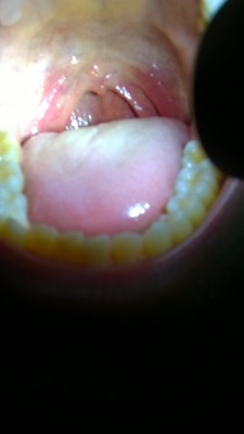 WP_20171022_015.jpg (737.69 KiB) Visto 2874 volte WP_20171022_015.jpg